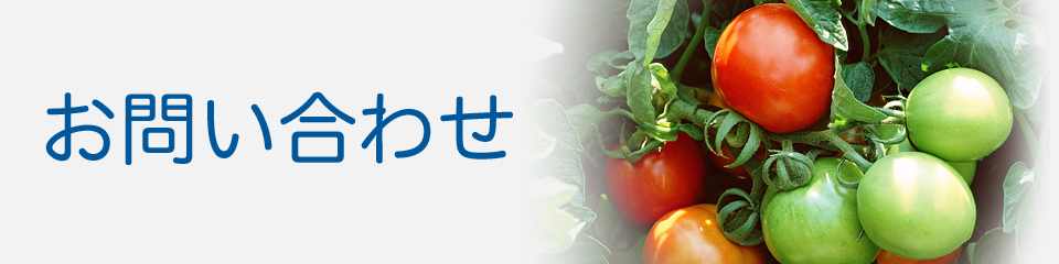 お問い合わせ